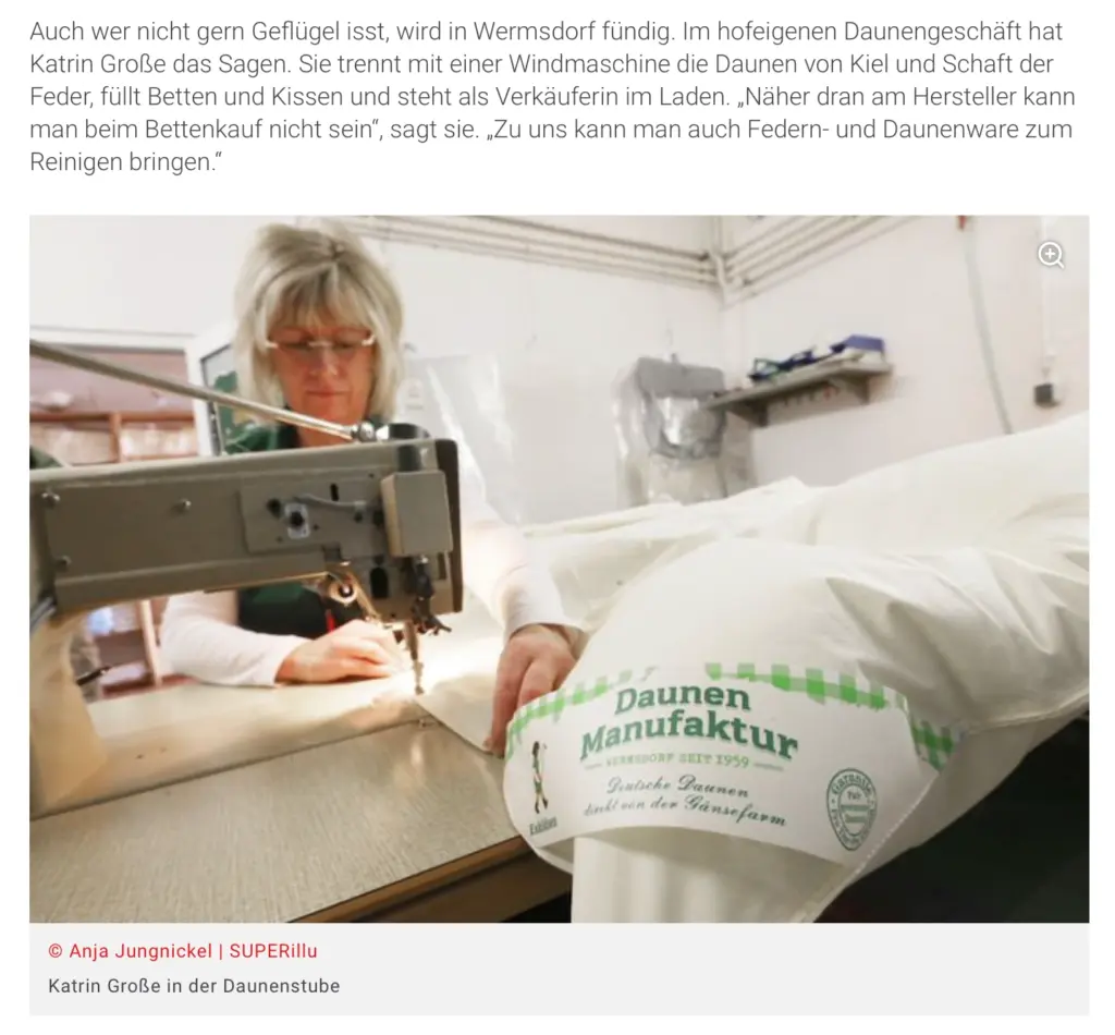 Screenshot eines Artikels. Das redaktionelle Foto von Anja Jungnickel zeigt eine Frau mit Brille, die konzentriert an einer industriellen Nähmaschine arbeitet. Im unscharfen Vordergrund liegt ein großes weißes Kissen mit dem grünen Etikett "Daunen Manufaktur Wermsdorf seit 1959". Darunter steht der Bildnachweis "© Anja Jungnickel | SUPERillu".