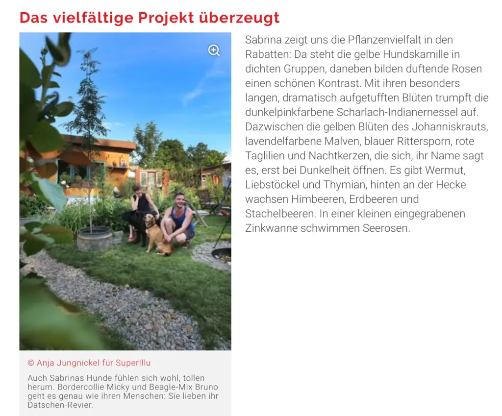 Screenshot eines Magazin-Artikels mit der Überschrift "Das vielfältige Projekt überzeugt". Das Foto von Anja Jungnickel zeigt Sabrina, einen Mann und zwei Hunde (Bordercollie Micky und Beagle-Mix Bruno) entspannt auf einer Rasenfläche vor ihrer farbenfrohen Gartenlaube in einem Kleingarten. Rechts daneben beschreibt ein Text die vielfältige Pflanzenvielfalt im Garten. Unten links steht der Fotonachweis "© Anja Jungnickel für Superillu".