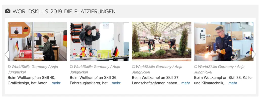 Screenshot einer Webseite mit der Überschrift "WORLDSKILLS 2019 DIE PLATZIERUNGEN". Die Ansicht zeigt vier Vorschaubilder von Wettbewerben, jeweils versehen mit dem Fotonachweis "© WorldSkills Germany / Anja Jungnickel". Bild 1 zeigt Anton beim Wettkampf an Skill 40 (Grafikdesign), Bild 2 einen Fahrzeuglackierer an Skill 36, Bild 3 Landschaftsgärtner bei Skill 37 und Bild 4 einen Teilnehmer bei Skill 38 (Kälte- und Klimatechnik).